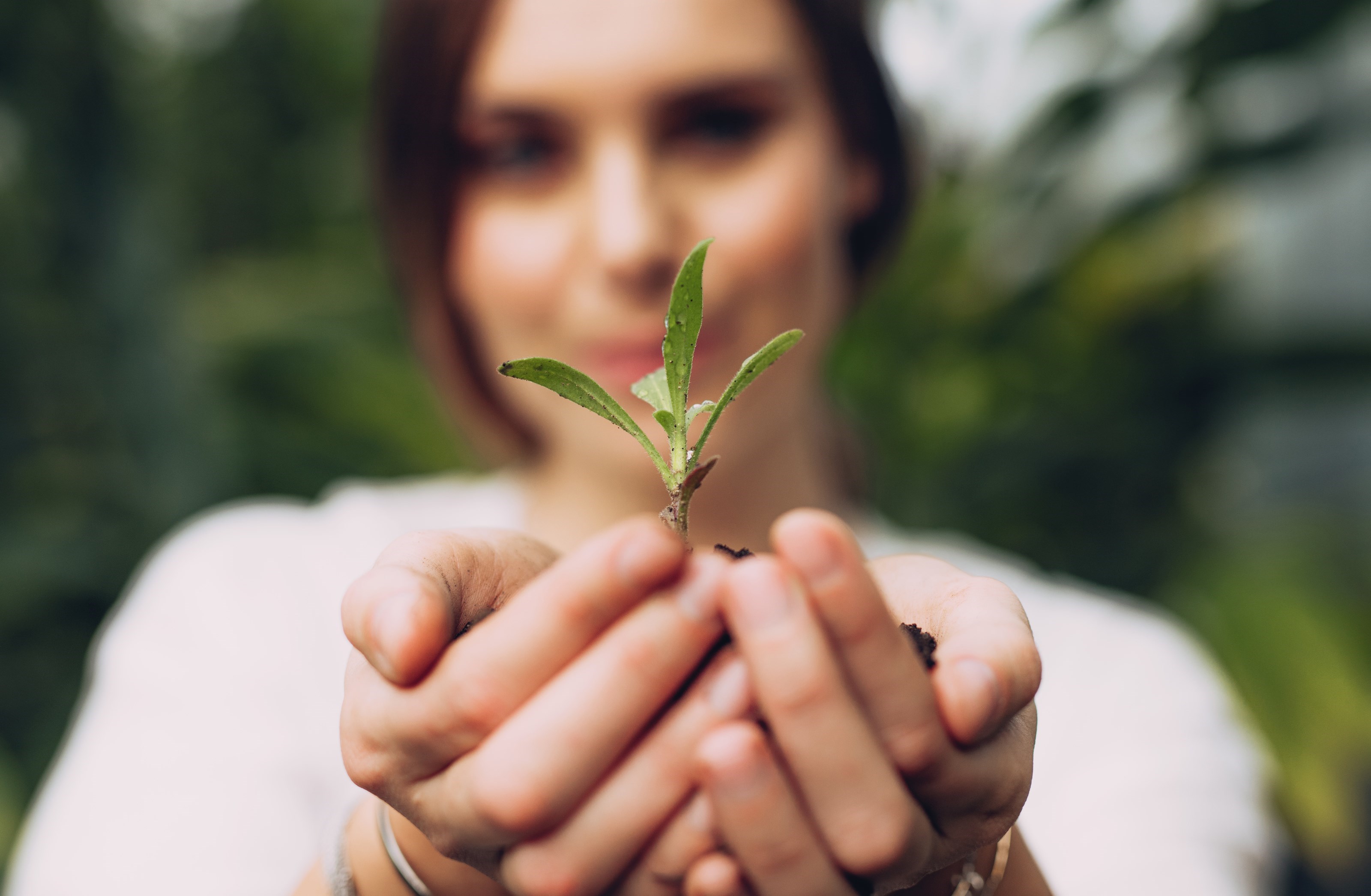 Femme tenant une plante dans ses mains